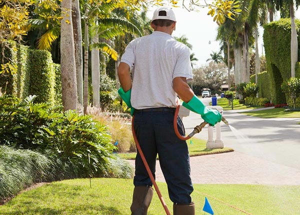 About Garfield GA Pest Control Pros